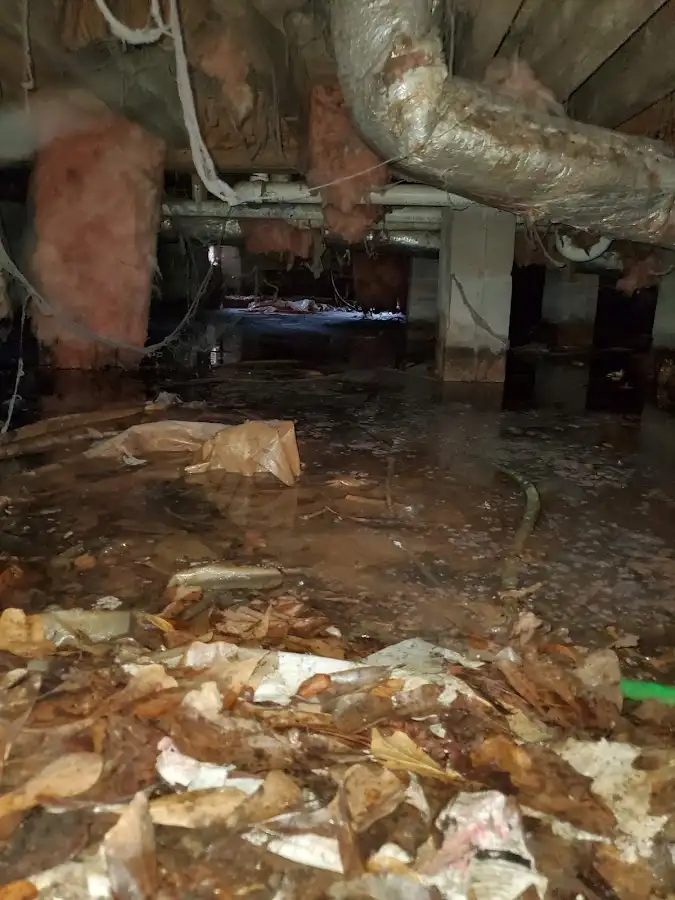 Crawl space flood assessment for Commercial Water Damage Restoration in Sierra Vista Southeast